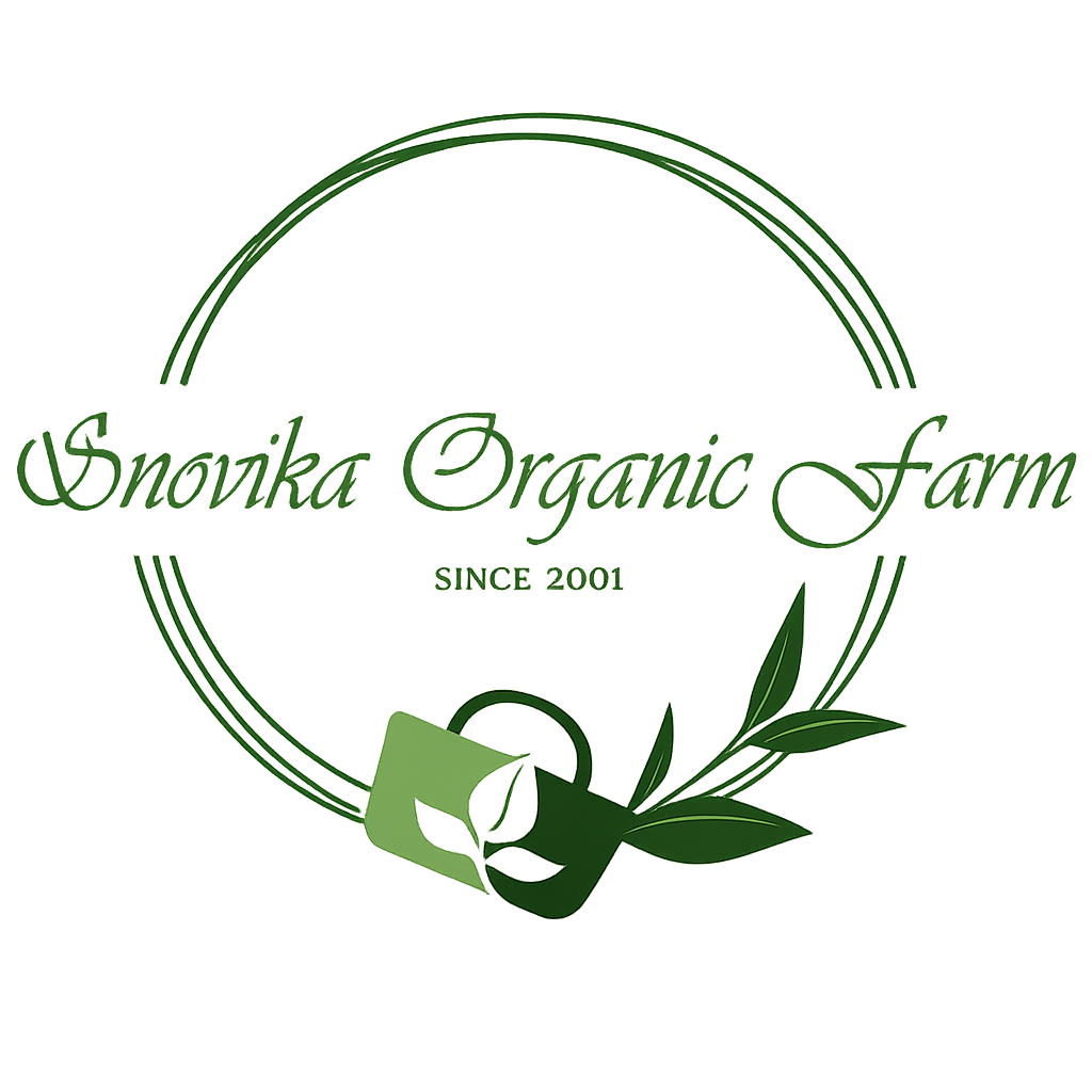 logo-image